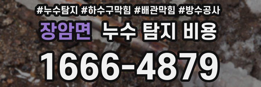 장암면 누수 탐지 비용