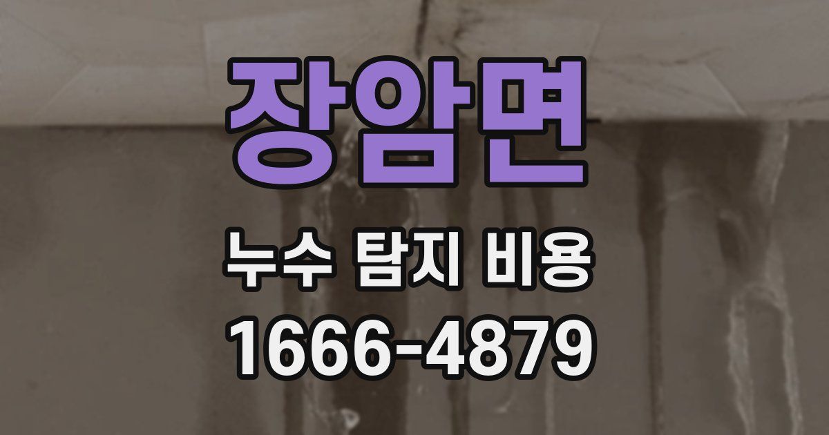 장암면 누수 탐지 비용