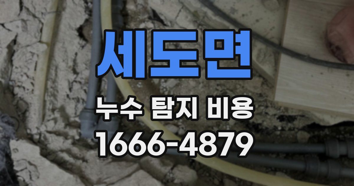 세도면 누수 탐지 비용