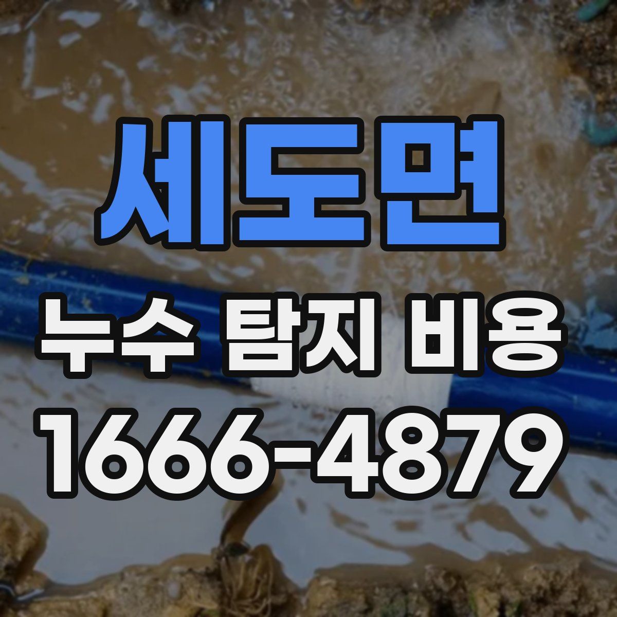 세도면 누수 탐지 비용