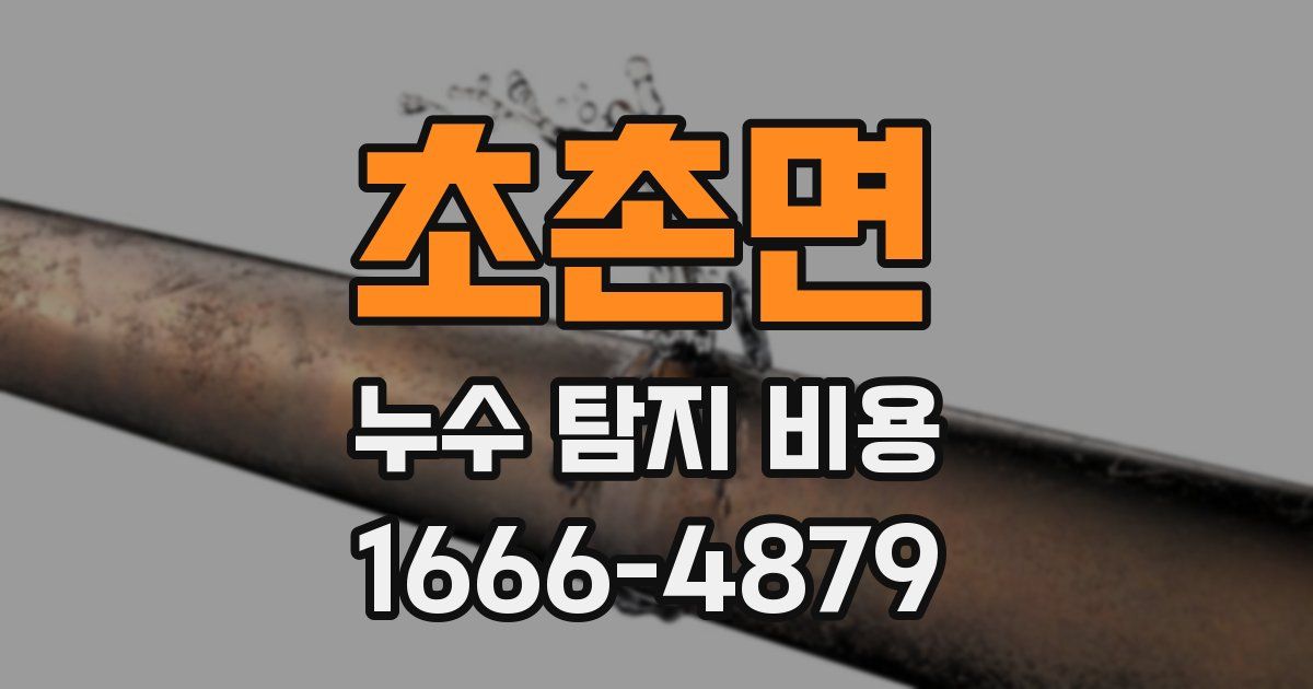 초촌면 누수 탐지 비용