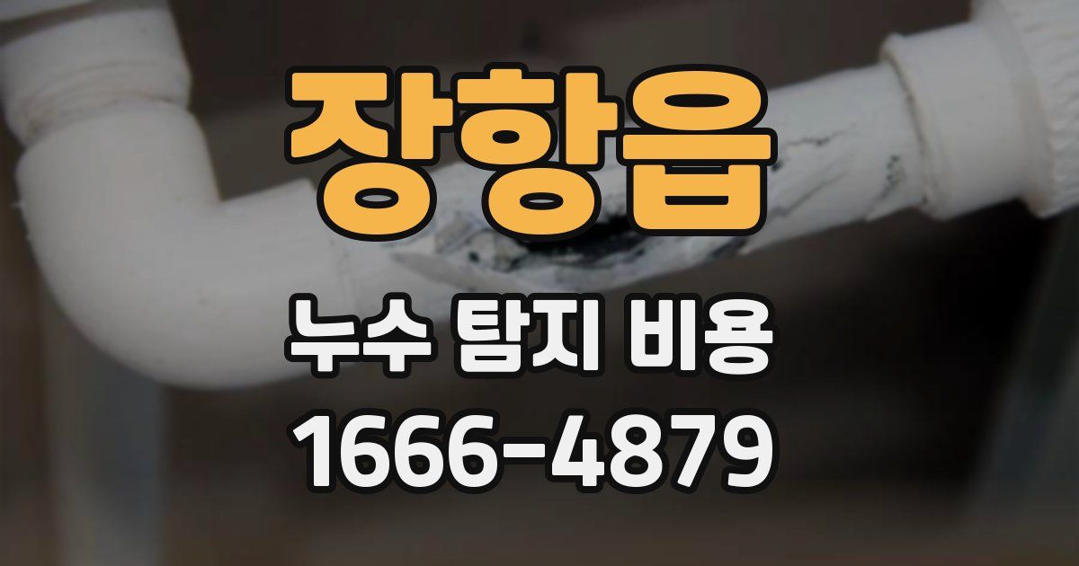 장항읍 누수 탐지 비용