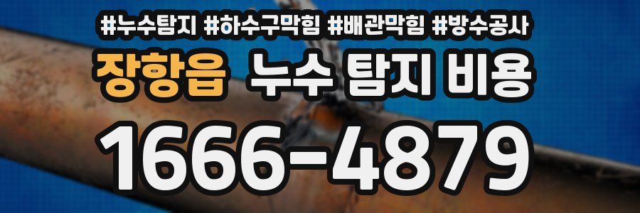장항읍 누수 탐지 비용