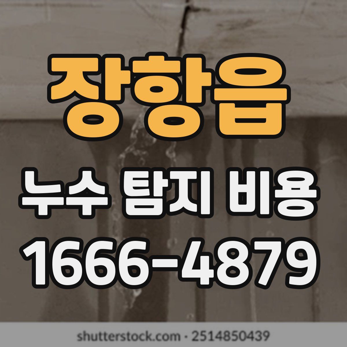 장항읍 누수 탐지 비용