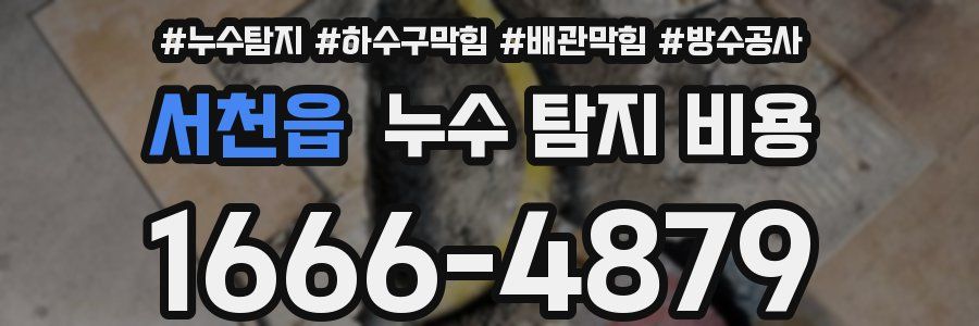 서천읍 누수 탐지 비용