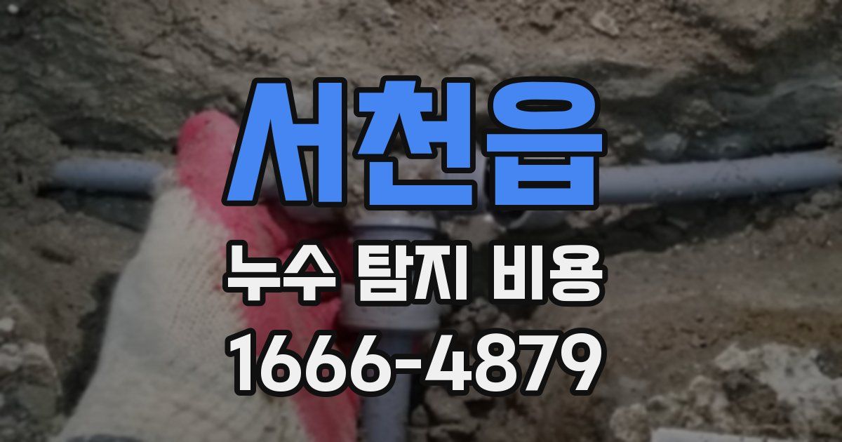 서천읍 누수 탐지 비용