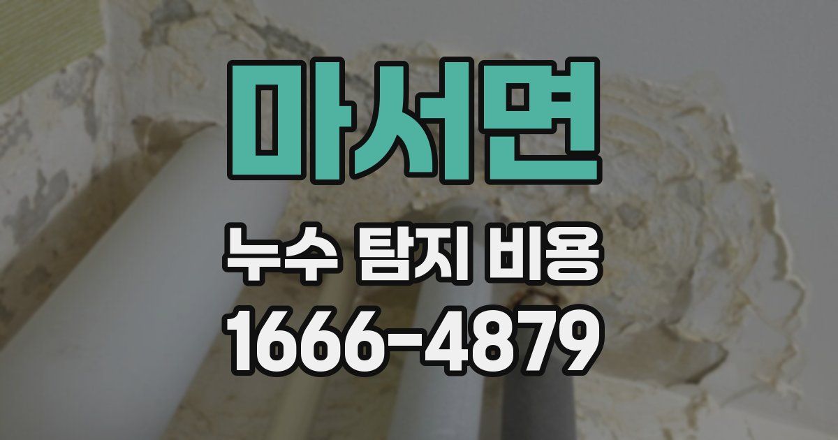 마서면 누수 탐지 비용