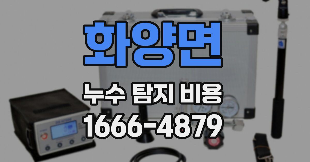 화양면 누수 탐지 비용