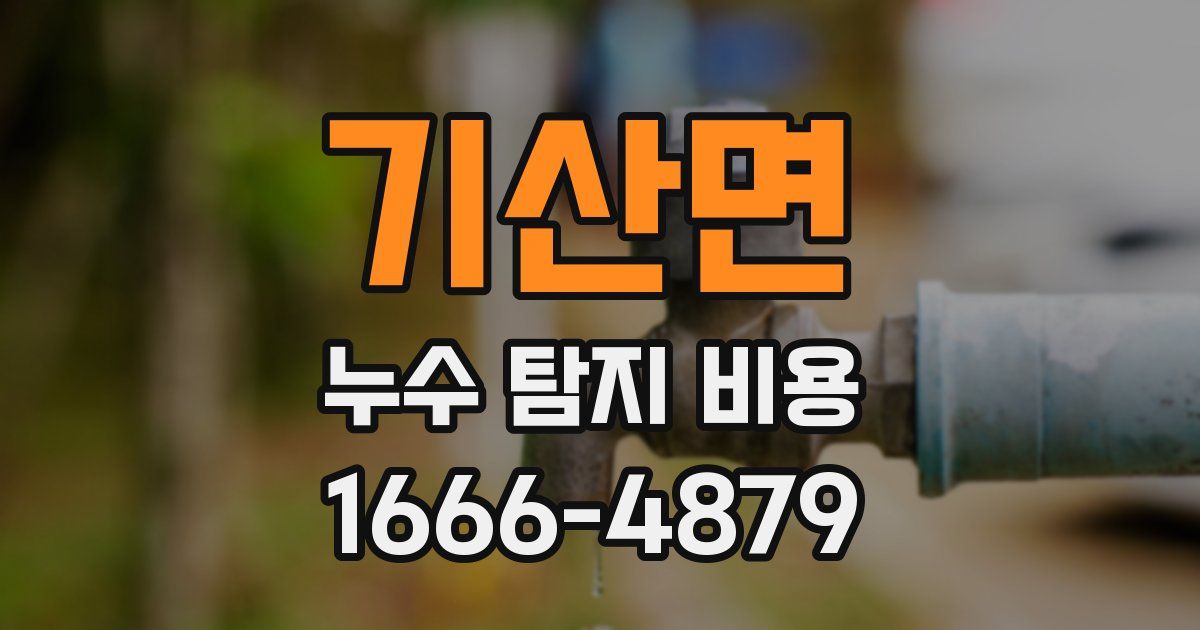 기산면 누수 탐지 비용