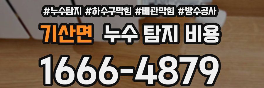 기산면 누수 탐지 비용