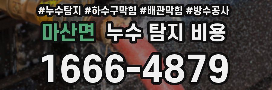 마산면 누수 탐지 비용