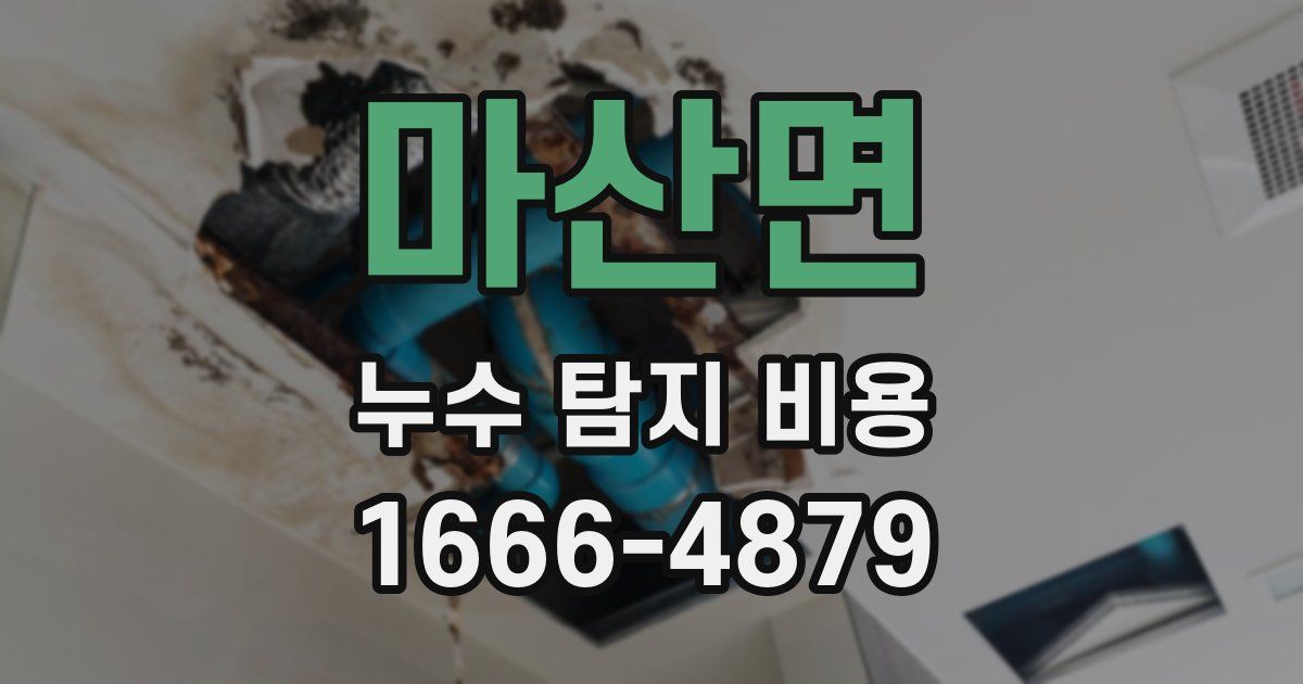 마산면 누수 탐지 비용