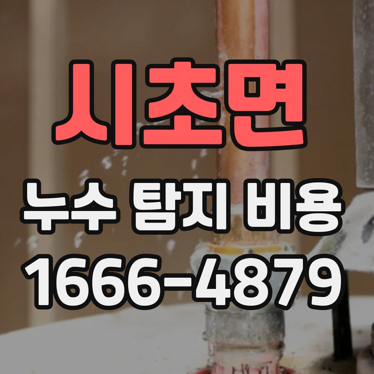 시초면 누수 탐지 비용