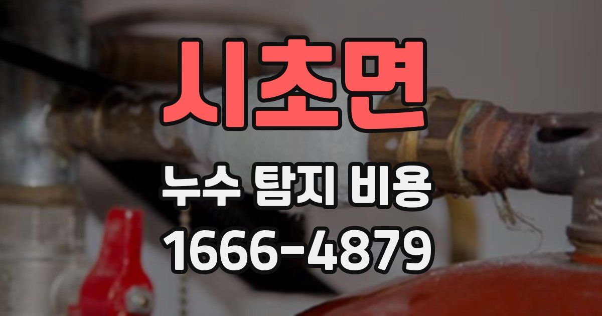 시초면 누수 탐지 비용