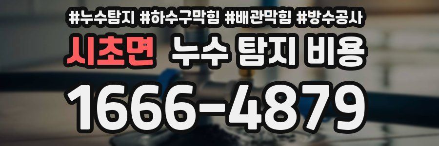 시초면 누수 탐지 비용