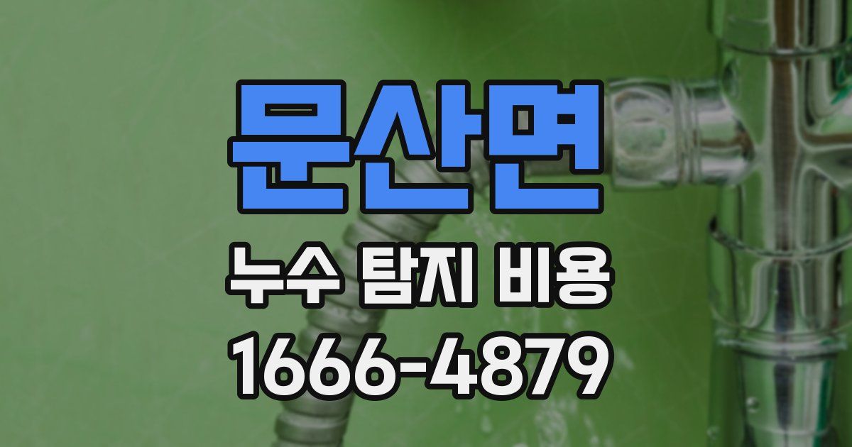 문산면 누수 탐지 비용