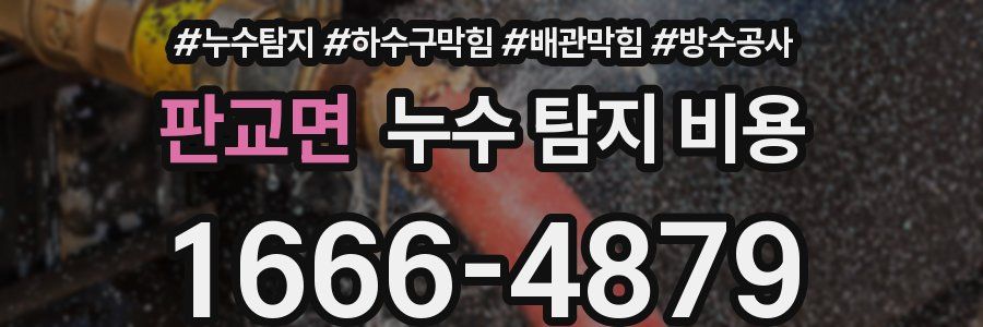 판교면 누수 탐지 비용