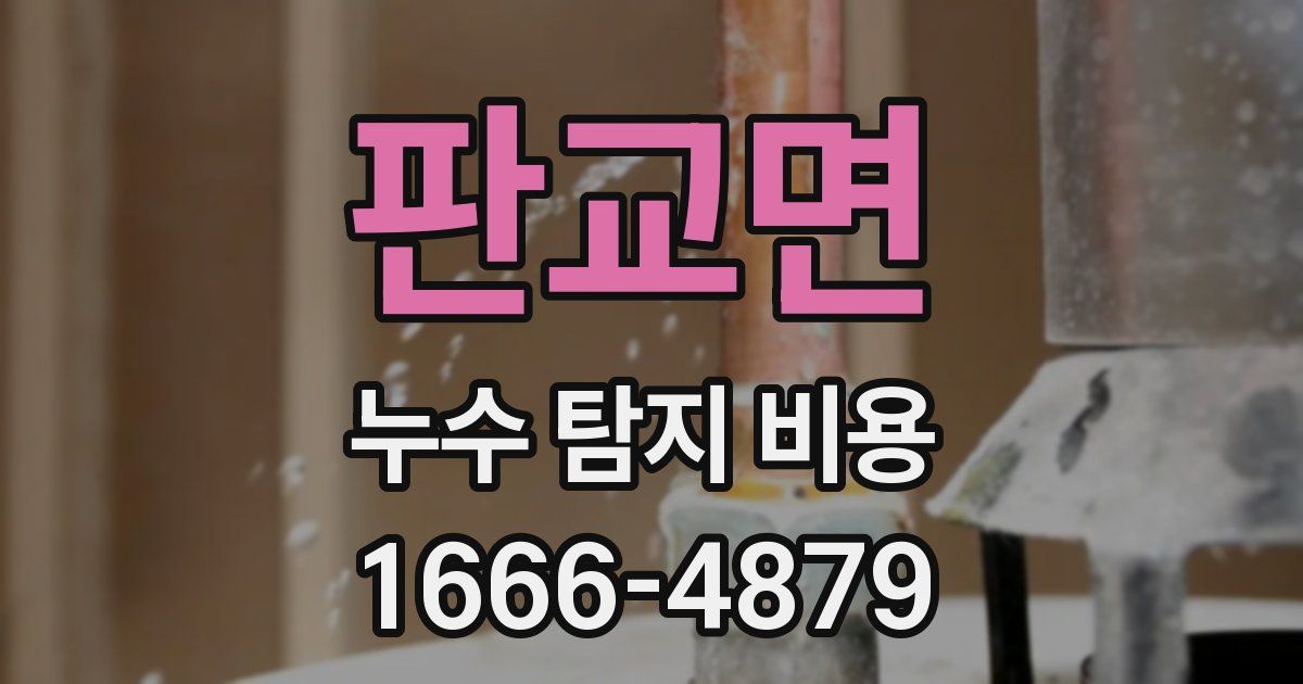 판교면 누수 탐지 비용