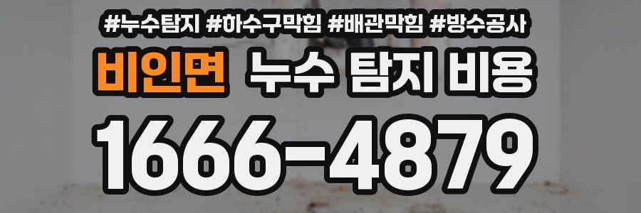 비인면 누수 탐지 비용