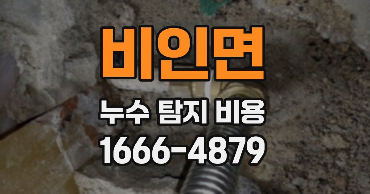 비인면 누수 탐지 비용