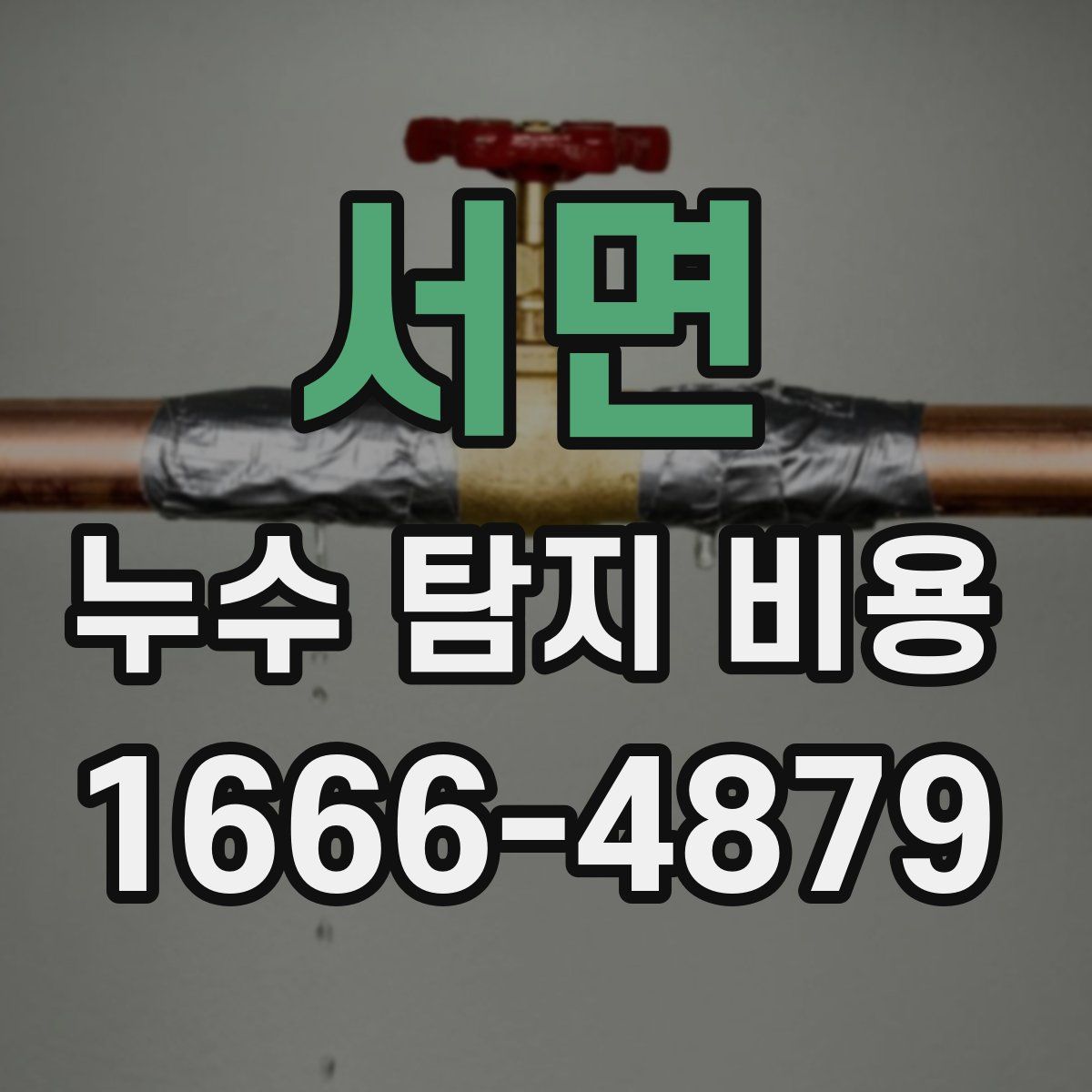 서면 누수 탐지 비용