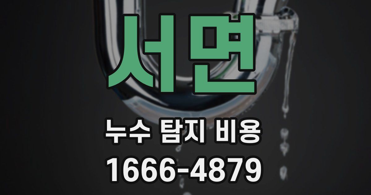 서면 누수 탐지 비용