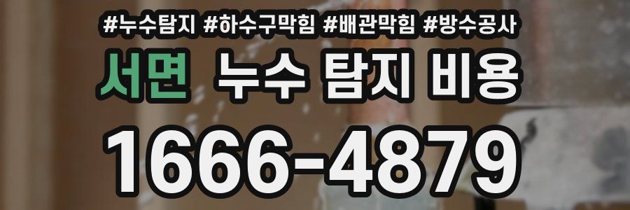 서면 누수 탐지 비용