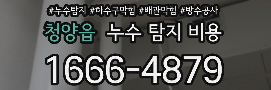 청양읍 누수 탐지 비용