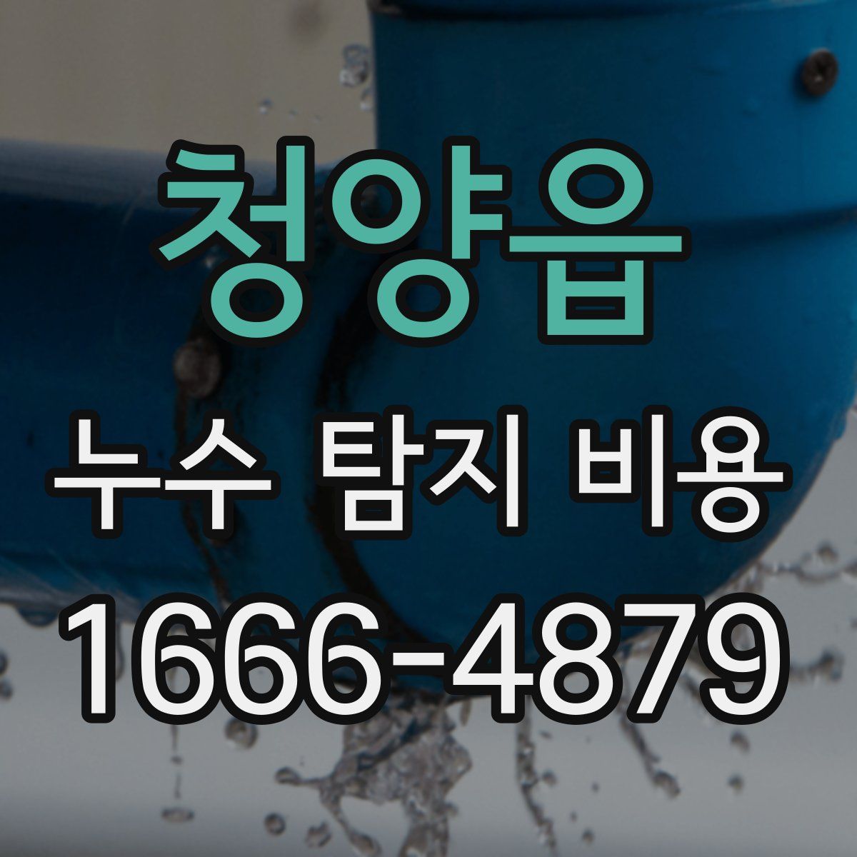 청양읍 누수 탐지 비용