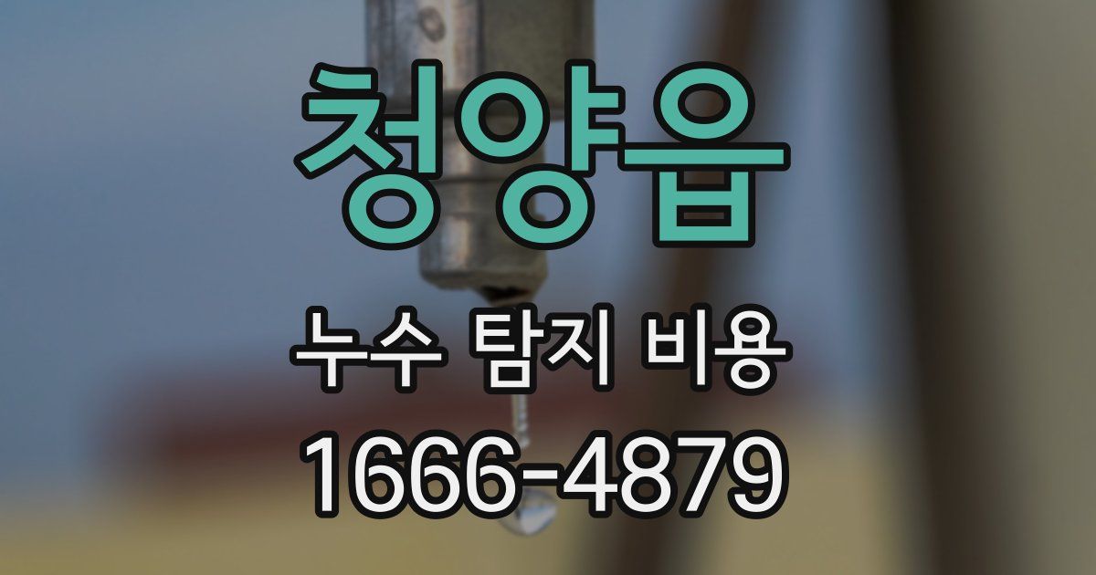 청양읍 누수 탐지 비용