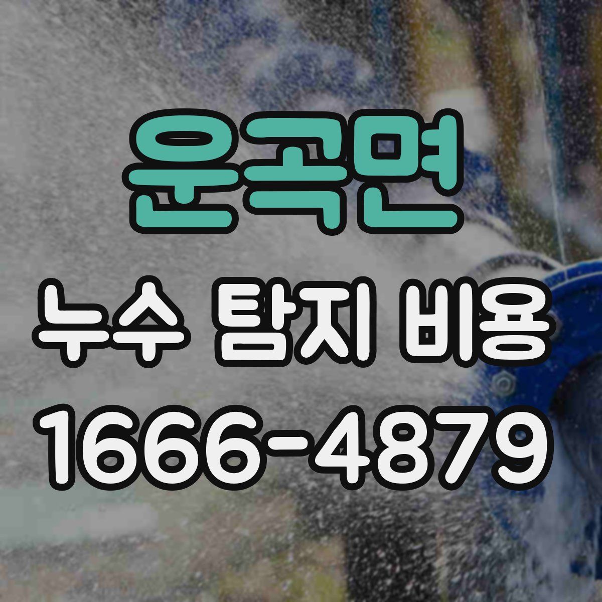 운곡면 누수 탐지 비용