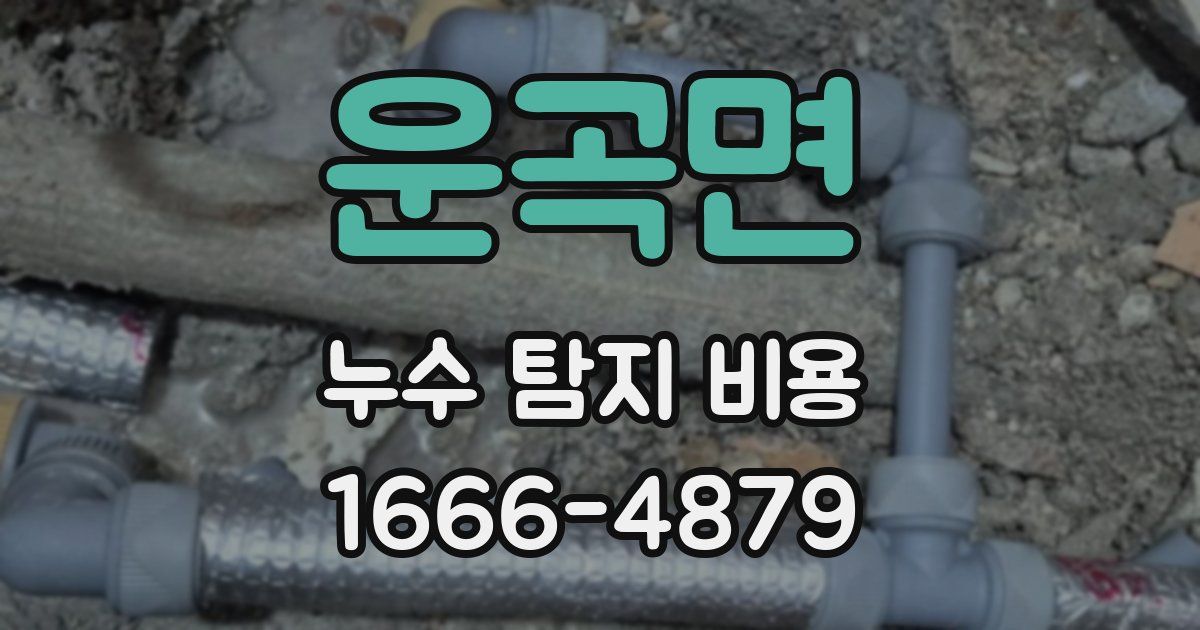 운곡면 누수 탐지 비용
