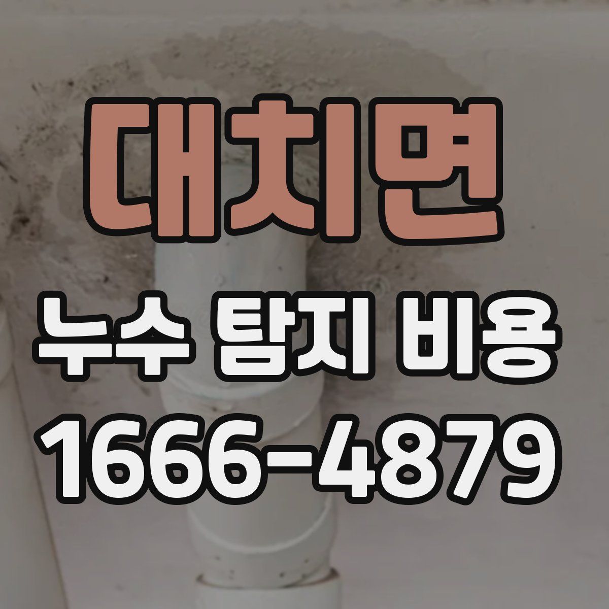 대치면 누수 탐지 비용