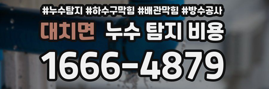 대치면 누수 탐지 비용