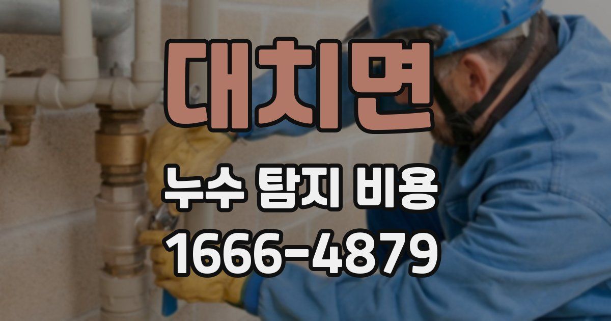 대치면 누수 탐지 비용