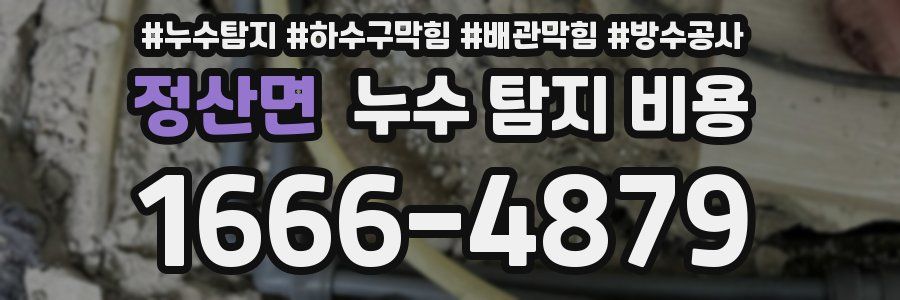 정산면 누수 탐지 비용