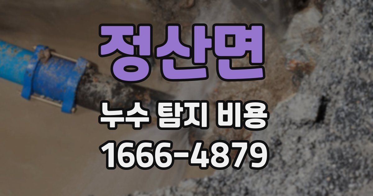 정산면 누수 탐지 비용