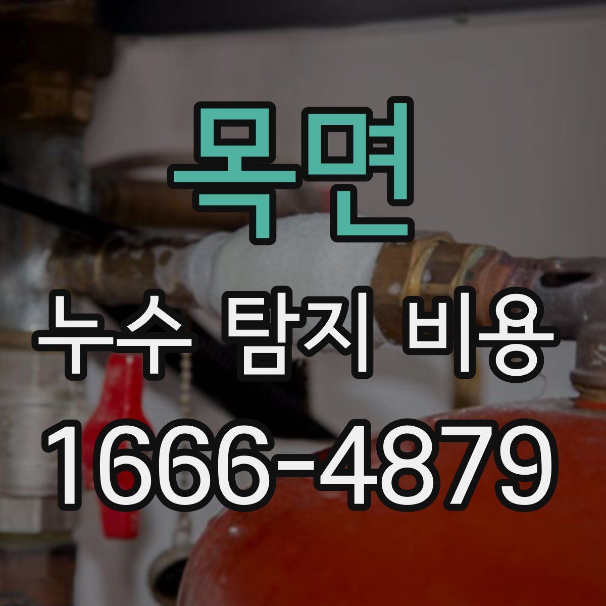 목면 누수 탐지 비용