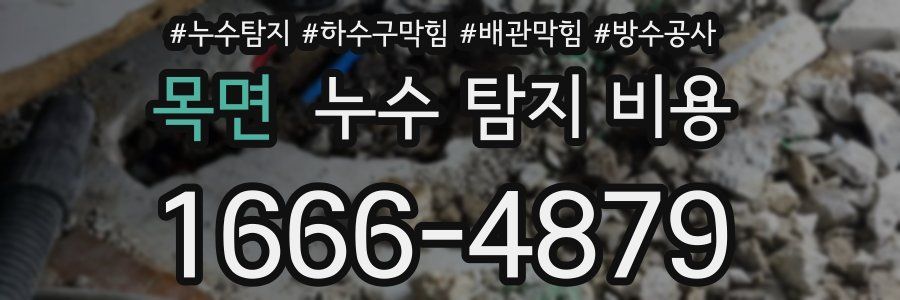 목면 누수 탐지 비용