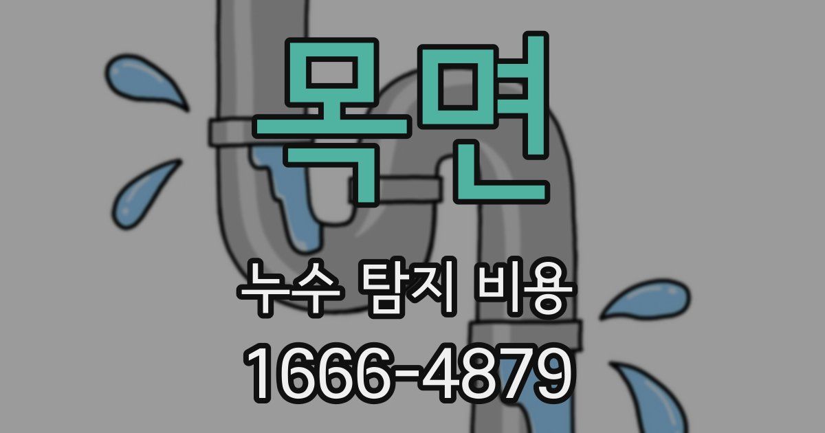 목면 누수 탐지 비용