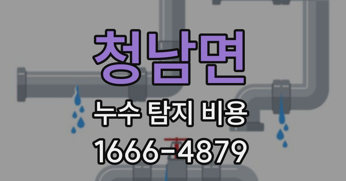 청남면 누수 탐지 비용