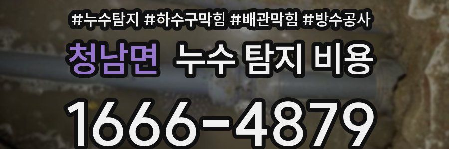 청남면 누수 탐지 비용