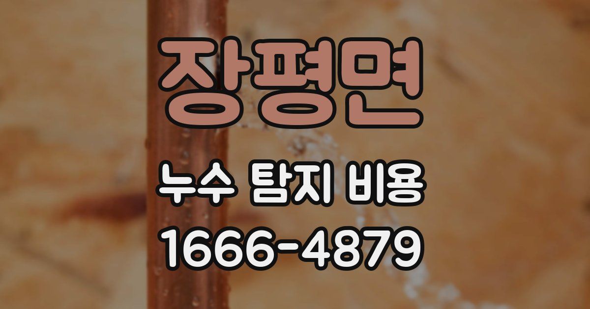 장평면 누수 탐지 비용