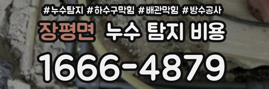장평면 누수 탐지 비용