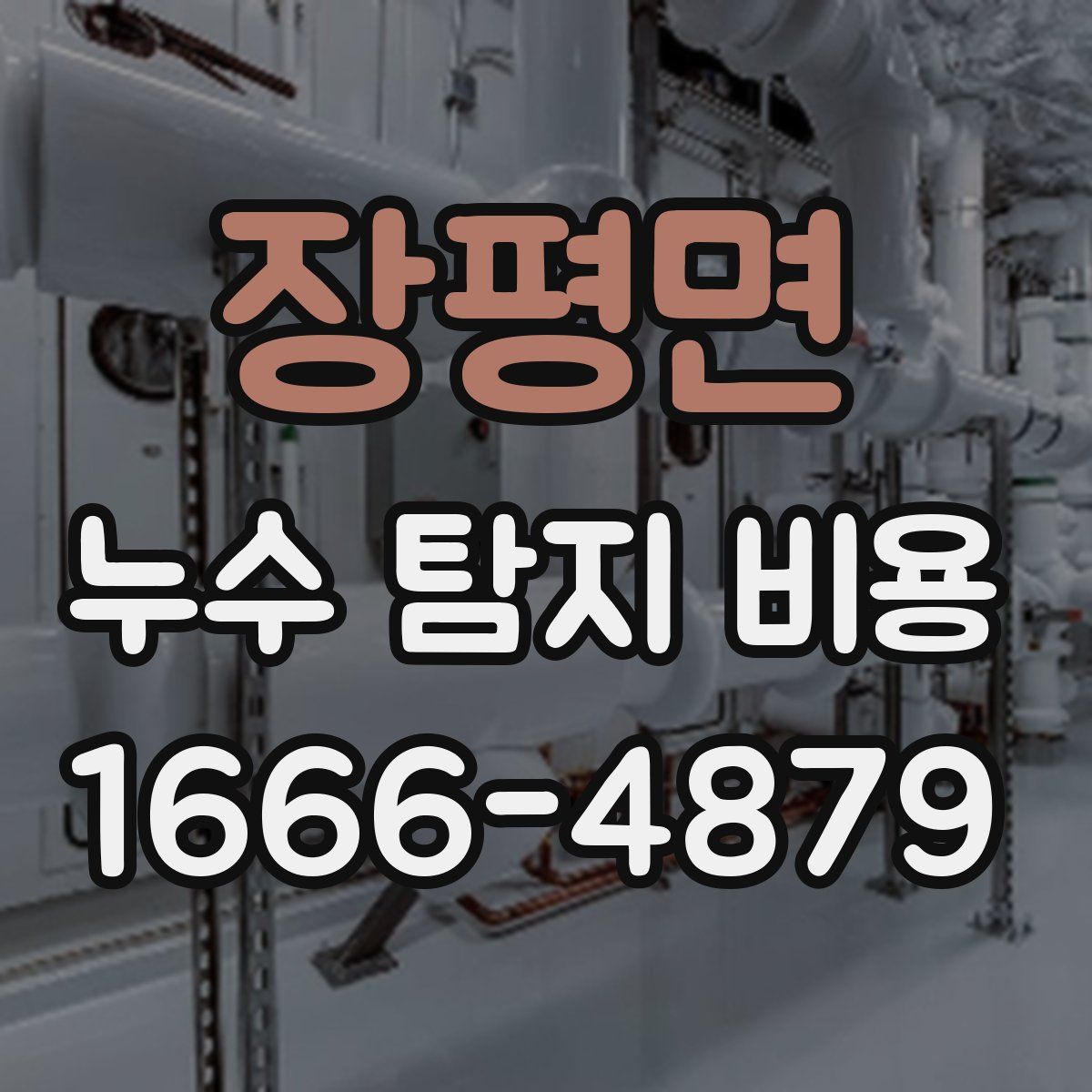 장평면 누수 탐지 비용
