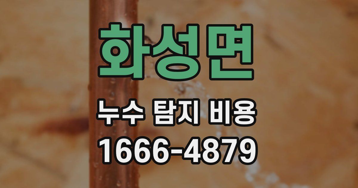 화성면 누수 탐지 비용