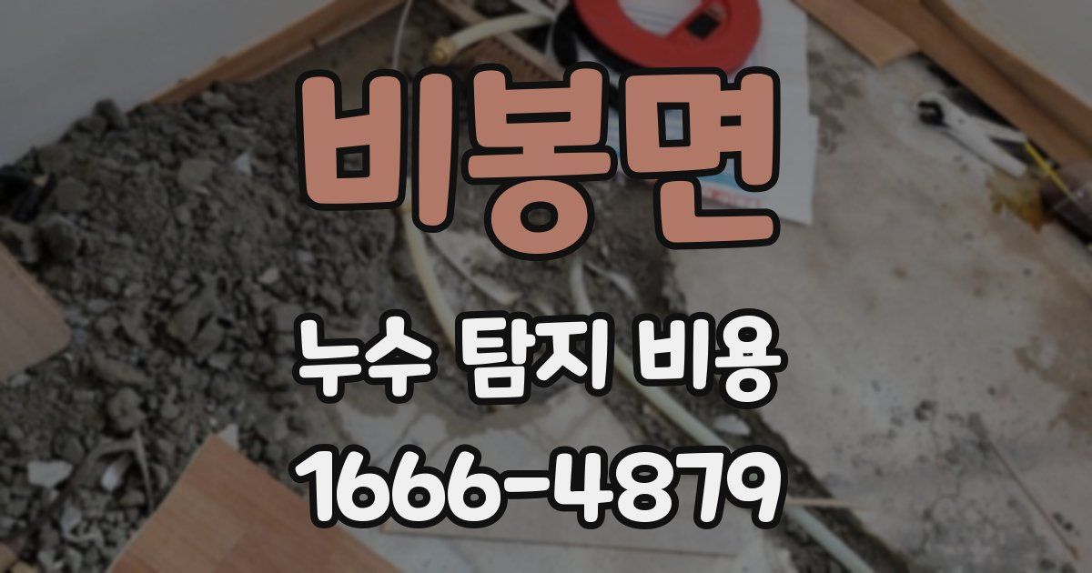 비봉면 누수 탐지 비용
