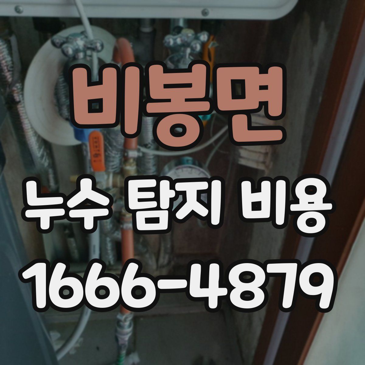 비봉면 누수 탐지 비용