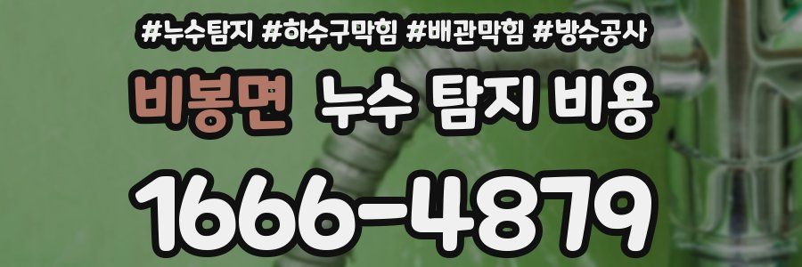 비봉면 누수 탐지 비용