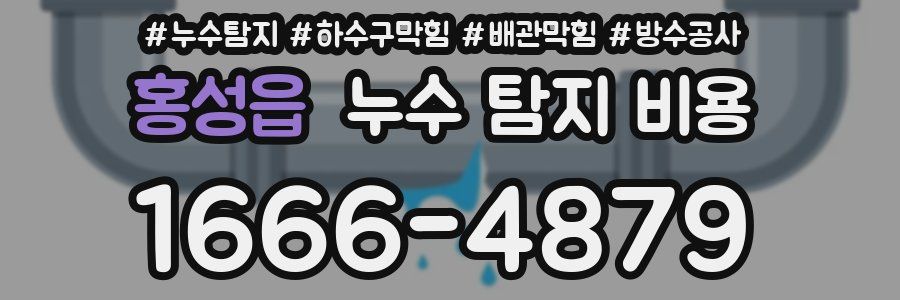 홍성읍 누수 탐지 비용